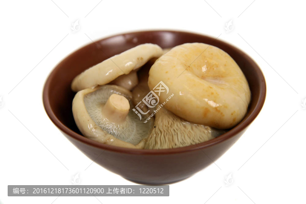 腌蘑菇飛碟孤立在白色棕色