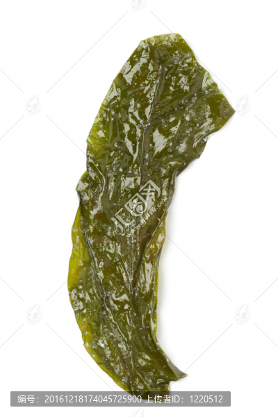 Kombu,Breton海藻