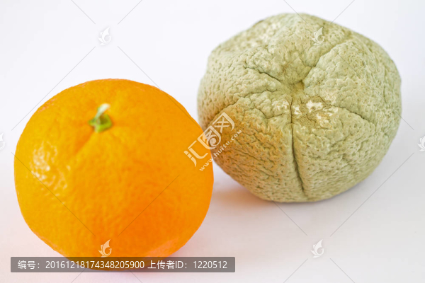 爛鮮橙；聚焦?fàn)€