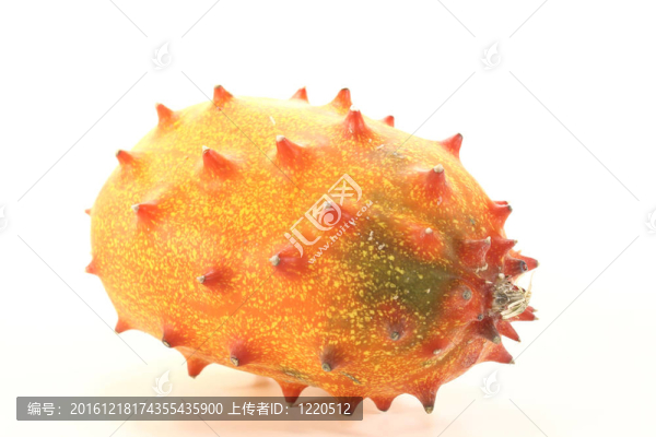 刺角瓜