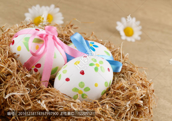 巢中的復(fù)活節(jié)彩蛋