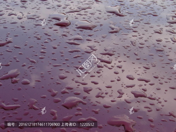 雨水滴紋理細(xì)致的背景