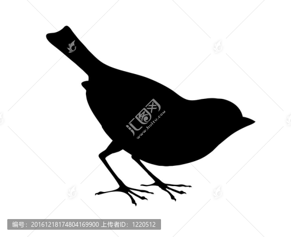 白色背景上的鳥剪影；