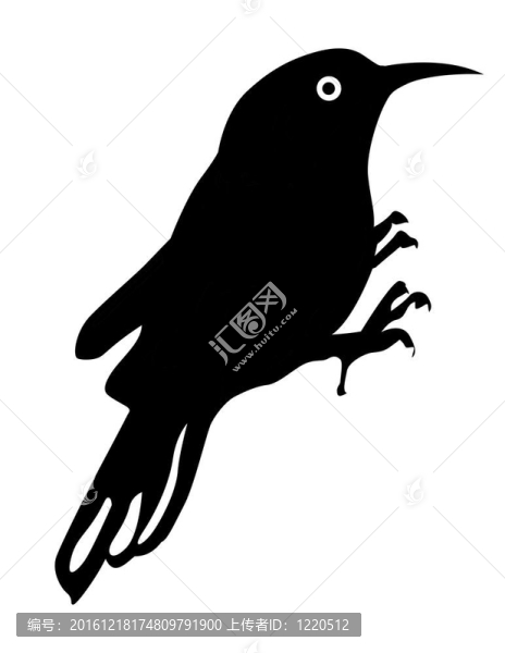 白色背景上的鳥剪影；