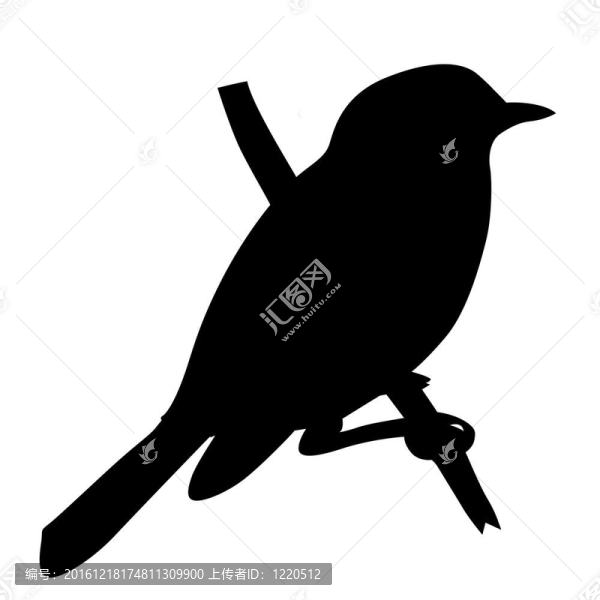白色背景上的鳥剪影；