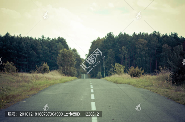 空的瀝青路穿過(guò)森林到地平線