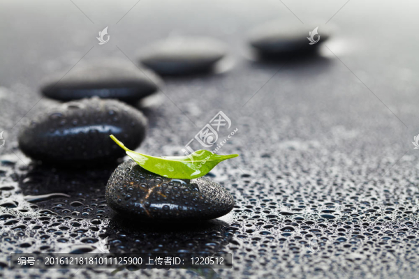 帶葉按摩石