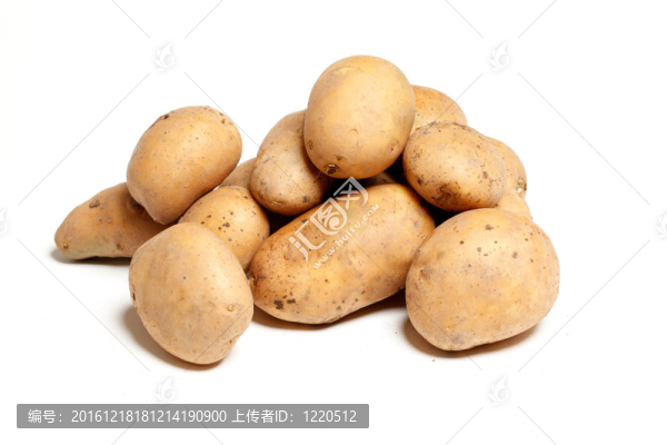 孤立的土豆