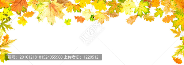 全景的秋葉