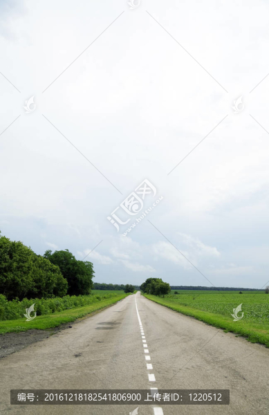 空空的柏油路在地平線上落在藍天上