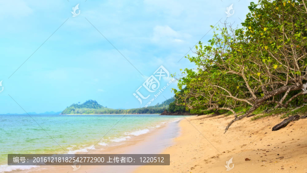 熱帶海灘