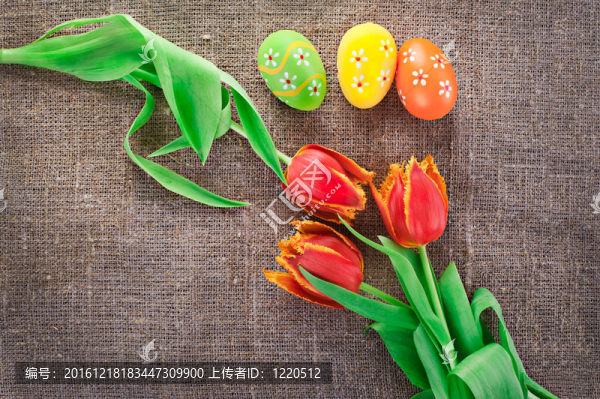 復(fù)活節(jié)裝飾畫彩蛋和春天郁金香花