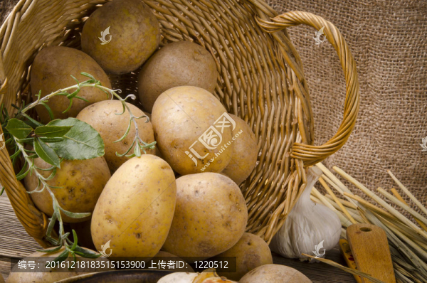 土豆