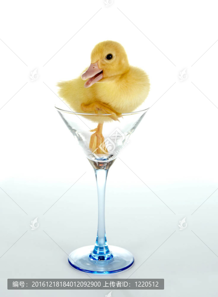 在一個(gè)玻璃Ducky