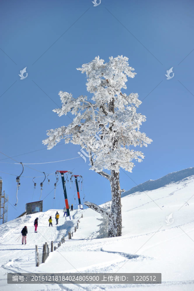 滑雪纜車