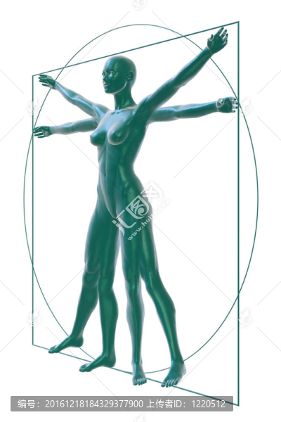 維特魯威的女人看白