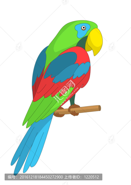 Parrot在極點