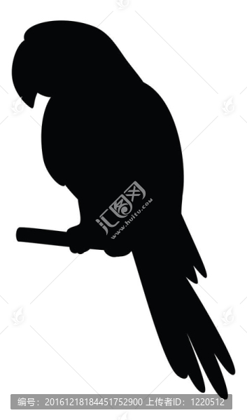 Parrot在極點(diǎn)；剪影
