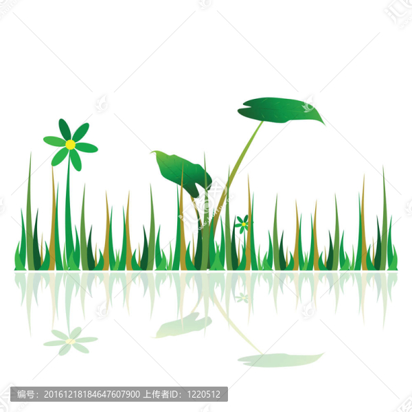 草綠色插圖配花