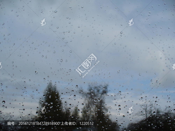 天空；樹(shù)；云；玻璃