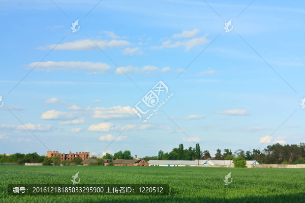 綠色的麥田；藍(lán)色的天空和老農(nóng)場(chǎng)