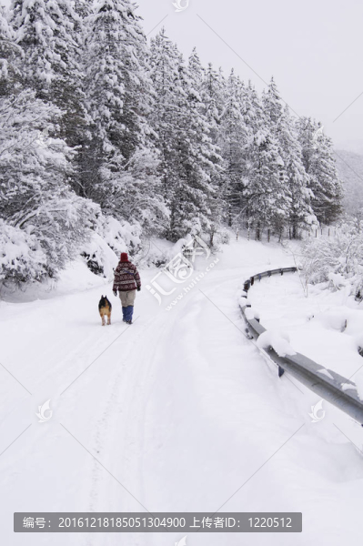走在雪地上