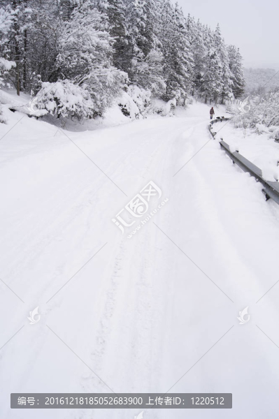 走在雪地上