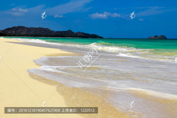 島的海岸
