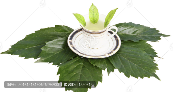 綠茶上的馬克杯