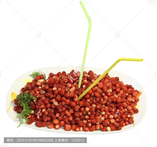 野生草莓大漿果