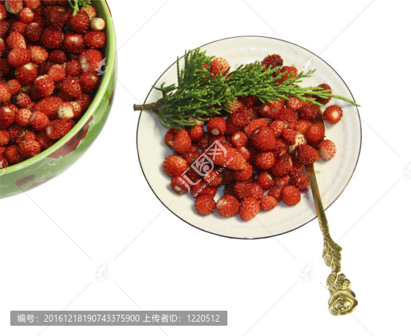 草莓草莓盤；