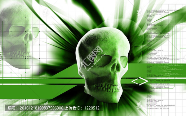 人類頭骨