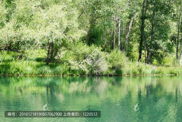 湖公園