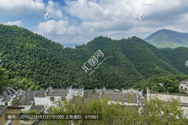 木坑竹海