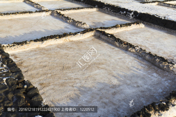 鹽沼的特寫(xiě)