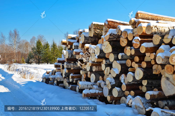 雪中木樁
