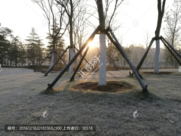 別樣公園風(fēng)貌