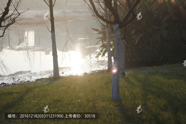 別樣公園風(fēng)貌