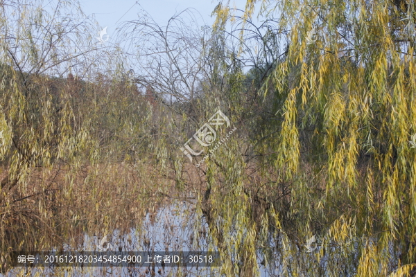 別樣公園風(fēng)貌