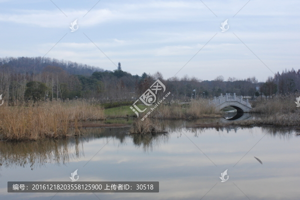 藝術(shù)公園