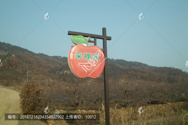 采摘園