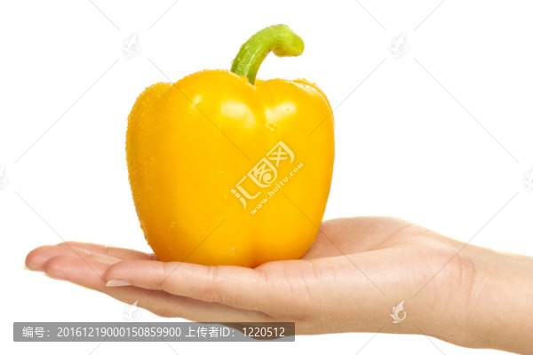 手黃椒