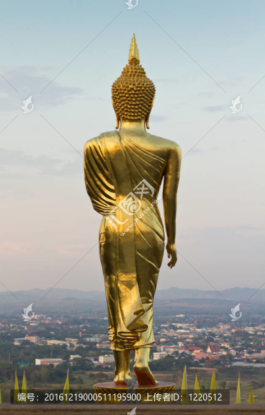 金菩薩