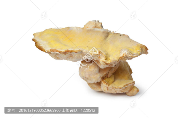 鮮硫貨架蘑菇