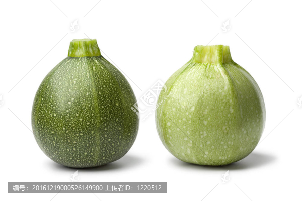 鮮綠色的圓形Zucchini