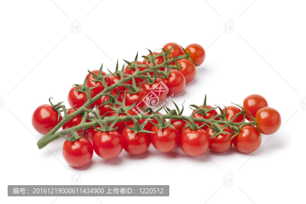 藤蔓上的小櫻桃番茄