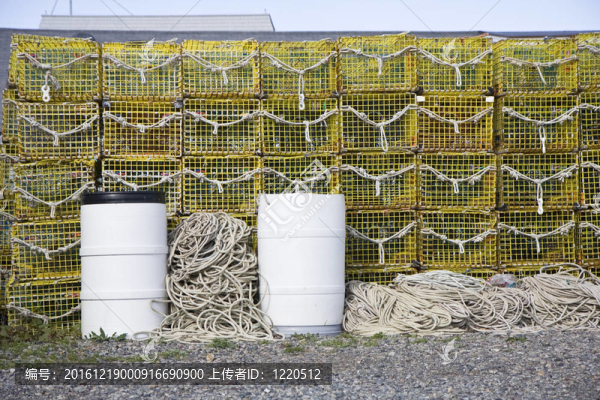 龍蝦陷阱
