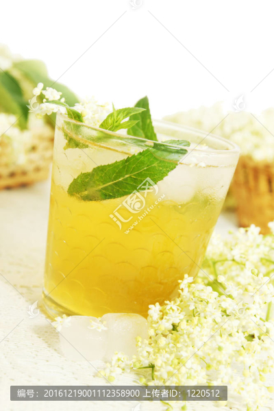 白茶