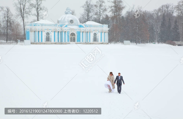 剛剛結(jié)婚的手在結(jié)冰的湖泊地區(qū)在冬季