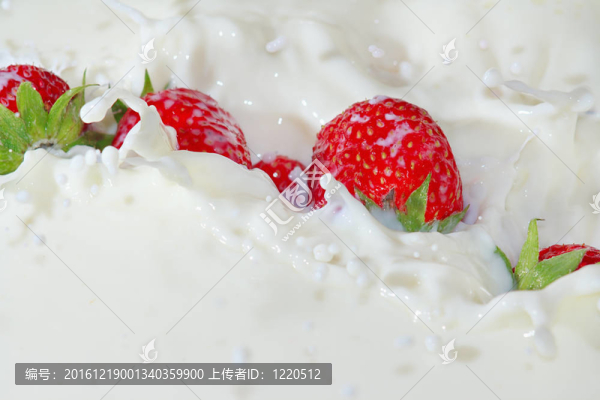 新鮮的草莓落入牛奶混入特寫